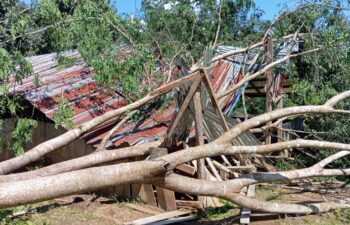 Image for due to strong winds, a tree fell on K’Law Hta Middle School